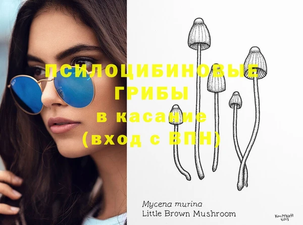 индика Балахна